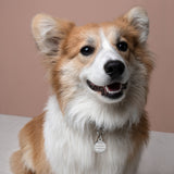Pets - Engraved ID Tag