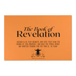 Rug Revelation 1:3 Black Tangerine